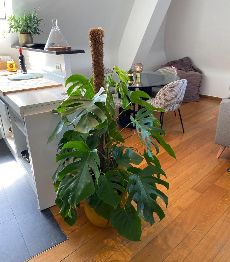 Definitief Gesloten Appartement *