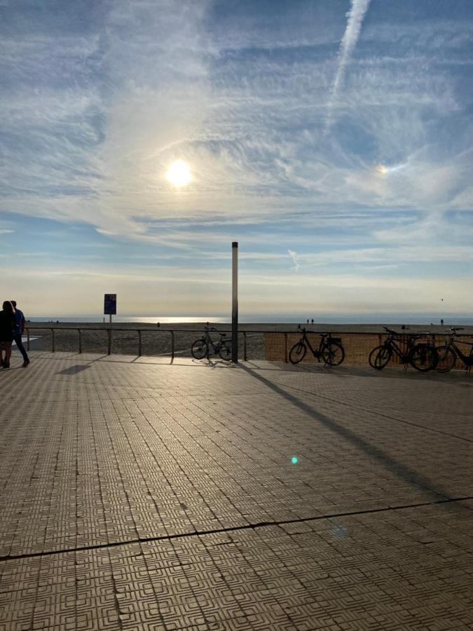 Definitief Gesloten * Ostende
